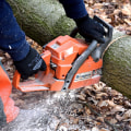 Transform Your Outdoors with Hardscape and Tree Care