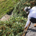 Ensure Your Hardscape Lasts with a Gutter Inspection