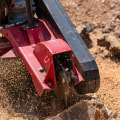 Optimize Your Hardscape with Expert Stump Removal