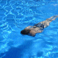 Transform Your Space: Expert Backyard Pool Designer in Alameda County