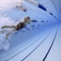 Transform Your Backyard with Expert Pool Design in San Jose