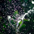 Transform Your Outdoor Space with Expert Sprinkler Design