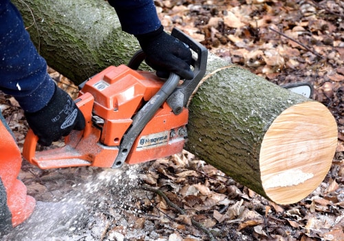 Transform Your Outdoors with Hardscape and Tree Care