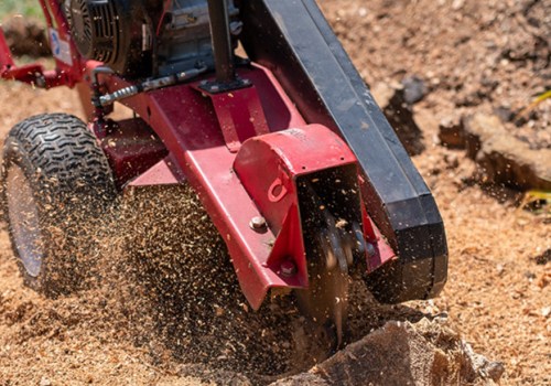 Optimize Your Hardscape with Expert Stump Removal